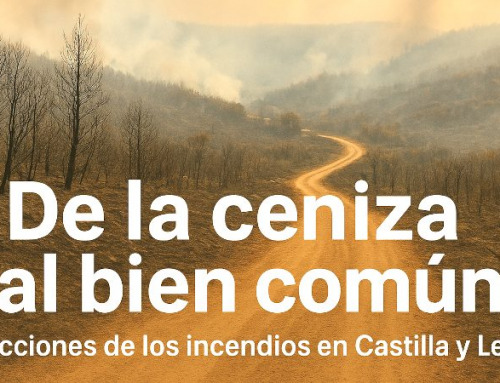 De la ceniza al bien común: lecciones de los incendios en Castilla y León